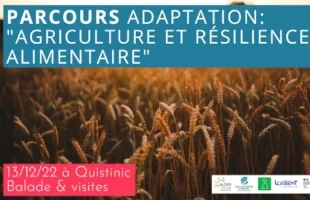 affiche parcours adaptation